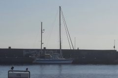 20250426_081126-scaled
