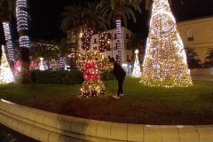 20241205_172200-scaled
