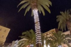 20241205_172217-scaled