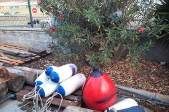 20251017_091220-scaled