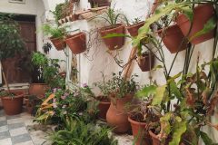 20250807_145927-scaled