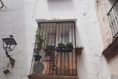 20250807_145947-scaled