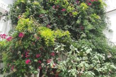 20250807_150800-scaled