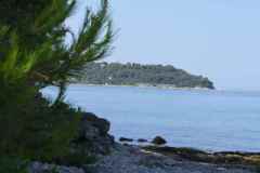 P1000695