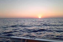 20240808_195058-scaled