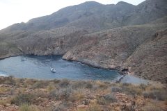 20250718_205217-1-scaled