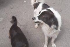20250422_105156-scaled