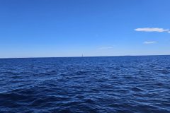 20240915_115745-scaled
