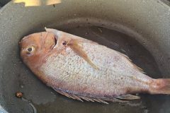 20240915_185239-scaled