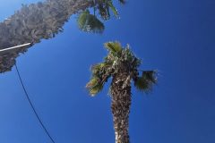 20240916_113528-scaled