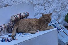 20240916_172406-scaled