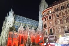20241216_185531-scaled