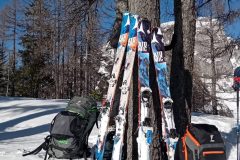 20250101_110515-scaled