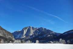 IMG-20241231-WA0006