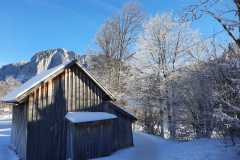 IMG-20241231-WA0011
