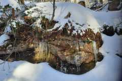 IMG-20250104-WA0006