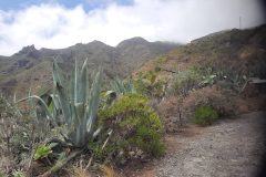 20250913_143245-scaled