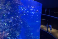 IMG-20250914-WA0081-scaled