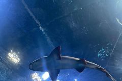 IMG-20250914-WA0083-scaled