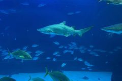 IMG-20250914-WA0086-scaled