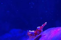 IMG-20250914-WA0089-scaled