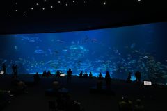 IMG-20250914-WA0091-scaled