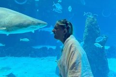 IMG-20250914-WA0095-scaled