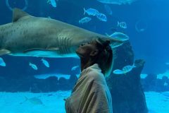 IMG-20250914-WA0097-scaled