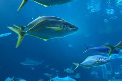 IMG-20250914-WA0101-scaled