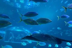 IMG-20250914-WA0105-scaled