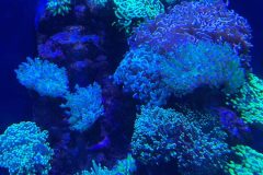 IMG-20250914-WA0109-scaled