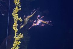 IMG-20250914-WA0114-scaled