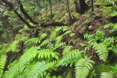 20250913_150225-scaled