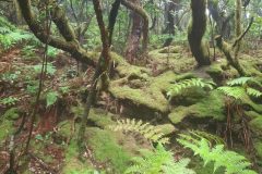 20250913_150256-scaled