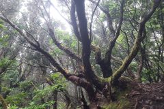 20250913_150317-scaled