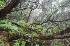 20250913_150344-scaled