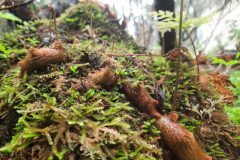 20250913_150439-scaled