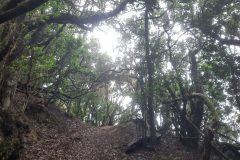 20250913_152423-scaled