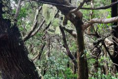 20250913_153511-scaled