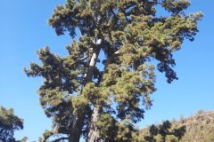 20250914_111141-scaled