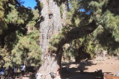 20250914_111318-scaled