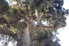 20250914_111742-scaled