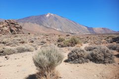 20250914_122156-scaled