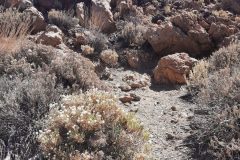 20250914_122612-scaled