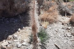 20250914_124816-scaled