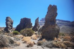 20250914_124846-scaled