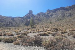 20250914_124857-scaled