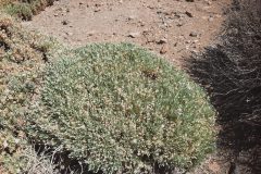 20250914_125453-scaled