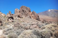 20250914_130423-scaled