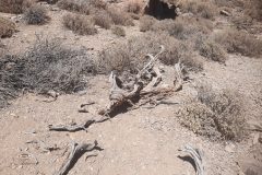 20250914_130608-scaled